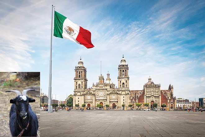 Haber | Dünyanın kanını donduran ayin