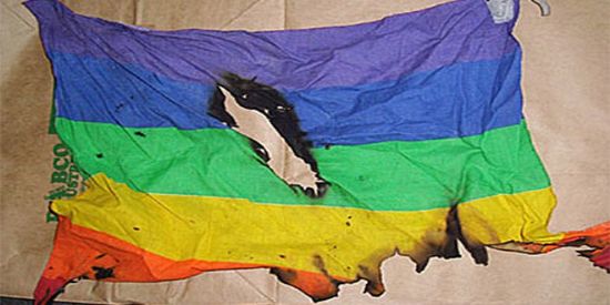 Haber | GÖKKUŞAĞI BAYRAĞI YAKMAKTAN HAPİS CEZASINA ÇARPTIRILDI